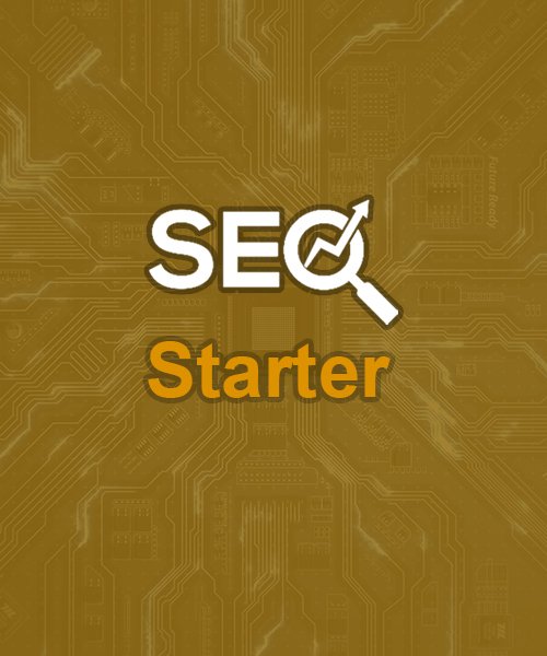 Starter SEO package
