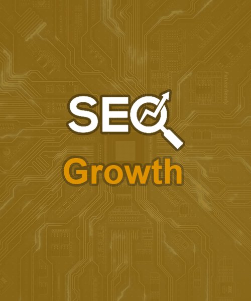 Professional SEO package
