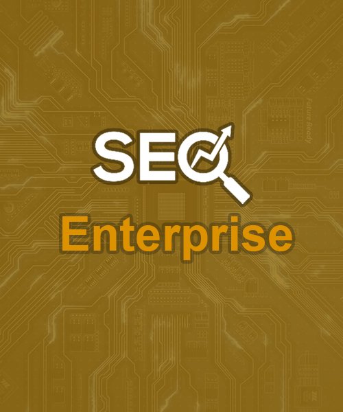 Enterprise SEO package