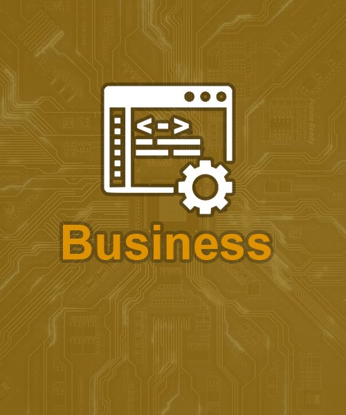 Business website package